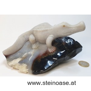 Alligator / Krokodil Chalcedon